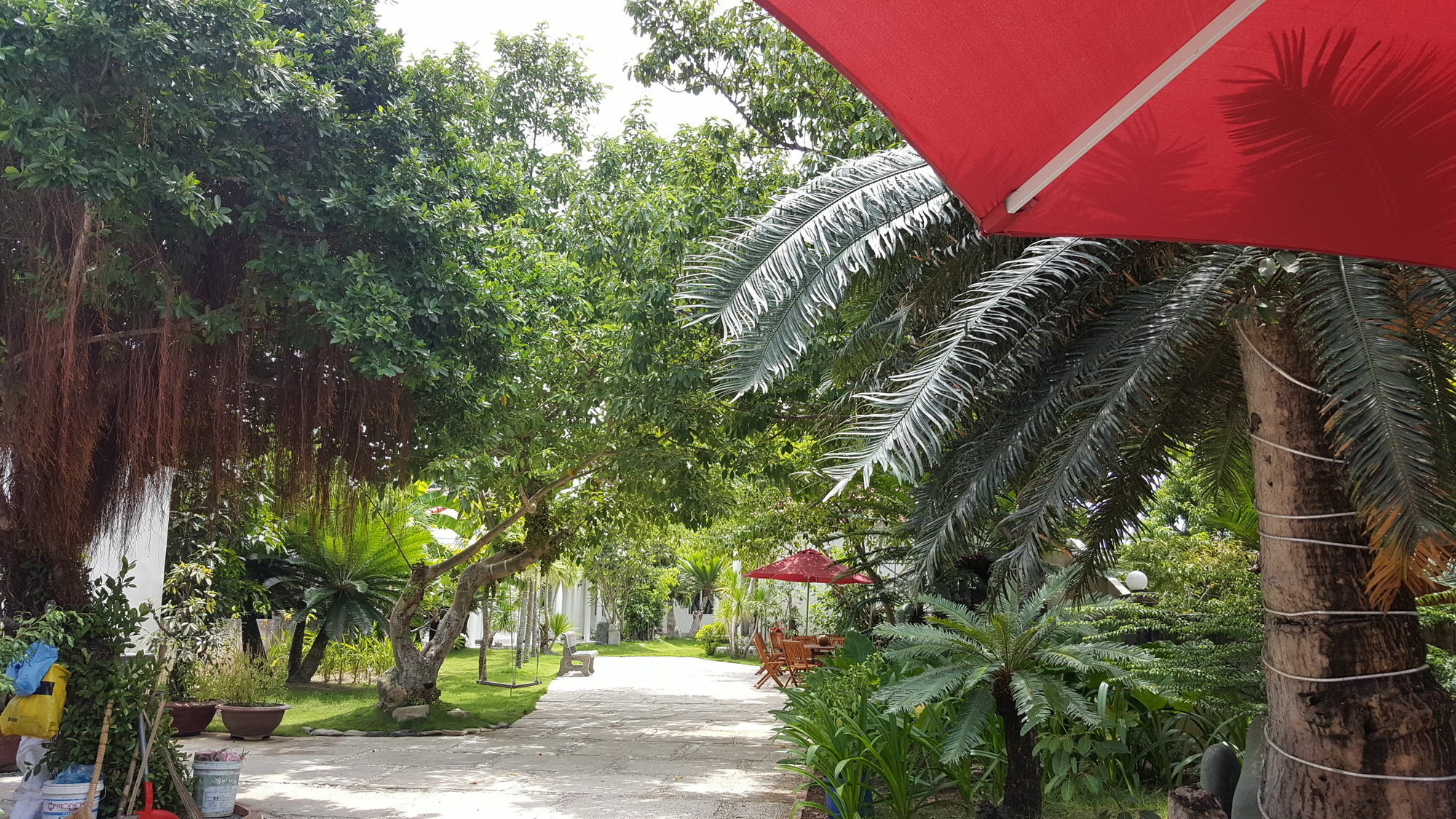 Dragon Bay Hotel Cam Lam Esterno foto